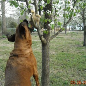 Meet your Posher, Stacy